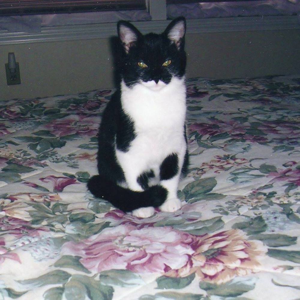 Meet your Posher, Linda